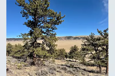 25 Redhill Court, Fairplay, CO 80440 - Photo 25