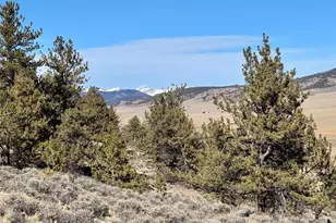 25 Redhill Ct, Fairplay, CO 80440 - Photo 1