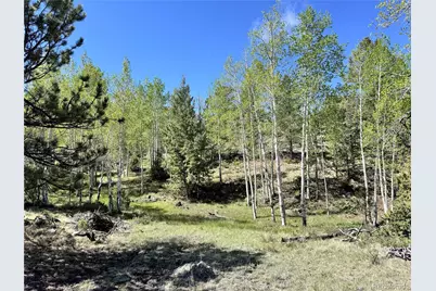 Dilley Road, Westcliffe, CO 81252 - Photo 15