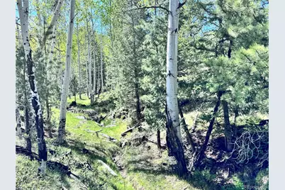Dilley Road, Westcliffe, CO 81252 - Photo 13