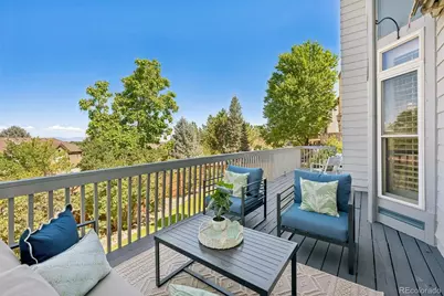 9140 Princeton Street, Highlands Ranch, CO 80130 - Photo 19