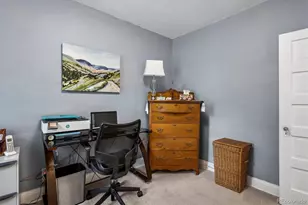1140 N Emerson St, Denver, CO 80218 - Photo 19