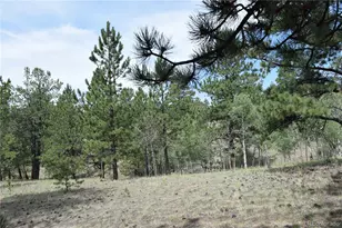 1651 Aspen Trail, Hartsel, CO 80449 - Photo 31