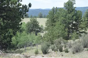 1651 Aspen Trail, Hartsel, CO 80449 - Photo 33