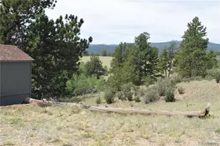 1651 Aspen Trail, Hartsel, CO 80449 - Photo 29