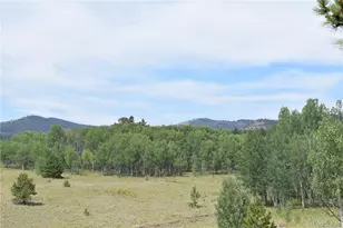 1651 Aspen Trail, Hartsel, CO 80449 - Photo 37