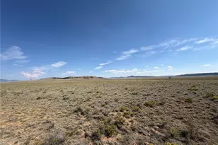 294 Hinsdale Rd, Hartsel, CO 80449 - Photo 1