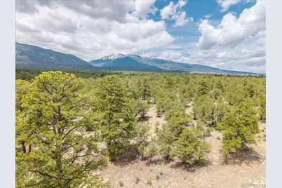 29269 Timber Ridge, Buena Vista, CO 81211 - Photo 9