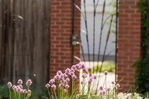 2845 Quitman St, Denver, CO 80212 - Photo 39