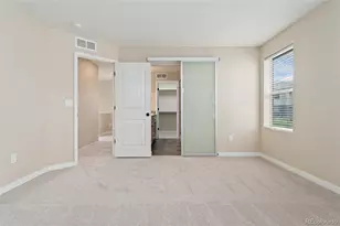 3120 Jonquil St, Castle Rock, CO 80109 - Photo 23