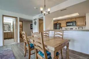 1610 Lake View Terrace, Frisco, CO 80443 - Photo 5