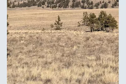 311 Harness Way, Hartsel, CO 80449 - Photo 9