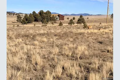 311 Harness Way, Hartsel, CO 80449 - Photo 11