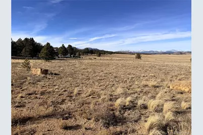 311 Harness Way, Hartsel, CO 80449 - Photo 3