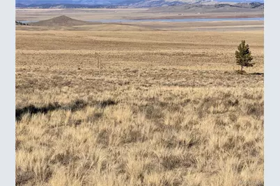 311 Harness Way, Hartsel, CO 80449 - Photo 7