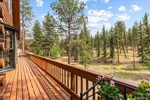 2185 Mt Evans Blvd, Pine, CO 80470 - Photo 27