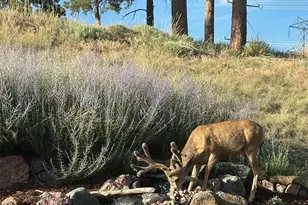 23953 E Roxbury Pl, Aurora, CO 80016 - Photo 27