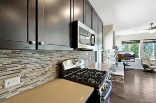 17110 Galapago Ct, Broomfield, CO 80023 - Photo 15
