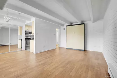 250 N Pearl Street #209, Denver, CO 80203 - Photo 3