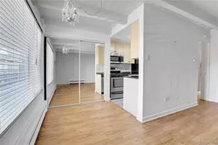 250 N Pearl St, Denver, CO 80203 - Photo 9