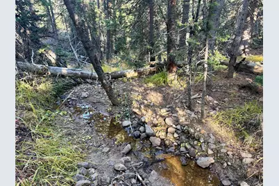 112 Sunshine Drive, Fairplay, CO 80440 - Photo 21