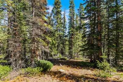 112 Sunshine Drive, Fairplay, CO 80440 - Photo 17