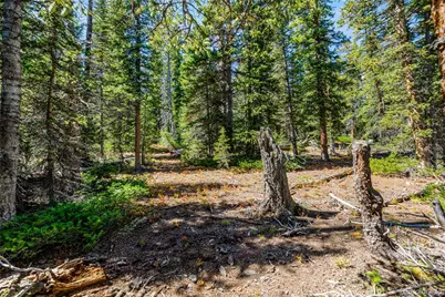 112 Sunshine Drive, Fairplay, CO 80440 - Photo 5