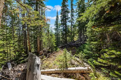 112 Sunshine Drive, Fairplay, CO 80440 - Photo 3