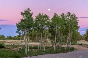 211 Foxtail Ct, Fairplay, CO 80440 - Photo 45