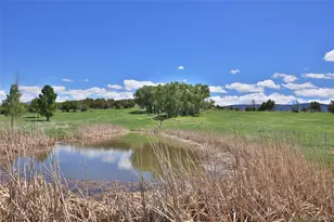 57191 Me Rd, Collbran, CO 81624 - Photo 39