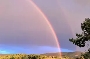 57191 Me Rd, Collbran, CO 81624 - Photo 43