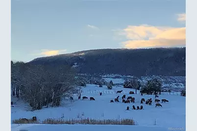 57191 Me Road, Collbran, CO 81624 - Photo 45