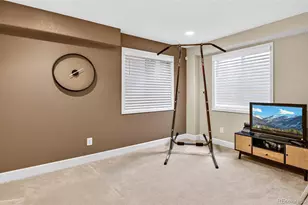 10146 Jill Ave, Highlands Ranch, CO 80130 - Photo 31