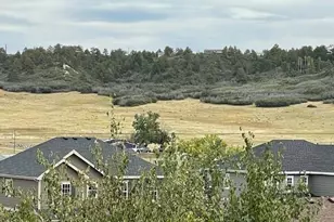 5900 Echo Hollow St, Castle Rock, CO 80104 - Photo 39