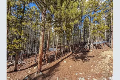 483 Mt Massive Road, Twin Lakes, CO 81251 - Photo 3