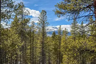 483 Mt Massive Rd, Twin Lakes, CO 81251 - Photo 1