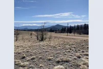 325 Shoshone Drive, Como, CO 80456 - Photo 3