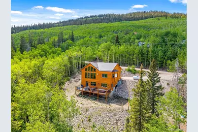 857 Quartzville Road, Alma, CO 80440 - Photo 41
