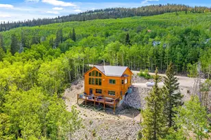 857 Quartzville Rd, Alma, CO 80440 - Photo 41