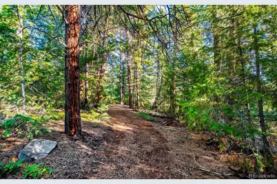 8838 Hillview Road, Morrison, CO 80465 - Photo 7