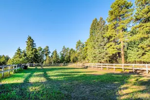 8838 Hillview Rd, Morrison, CO 80465 - Photo 9