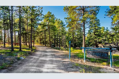 8838 Hillview Road, Morrison, CO 80465 - Photo 3