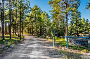 8838 Hillview Rd, Morrison, CO 80465 - Photo 3