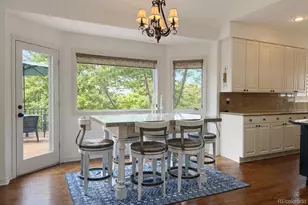 9108 Buck Hill Dr, Highlands Ranch, CO 80126 - Photo 39