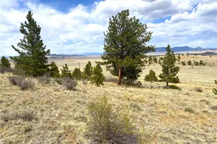 381 Red Cloud Rd, Hartsel, CO 80449 - Photo 1
