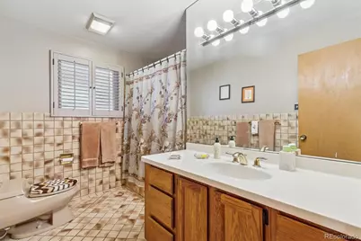 3253 S Columbine Street, Denver, CO 80210 - Photo 19