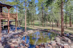 66 Territory Dr, Pine, CO 80470 - Photo 3