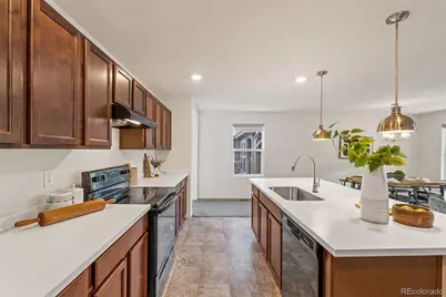 4144 Happy Hollow Drive, Castle Rock, CO 80104 - Photo 7