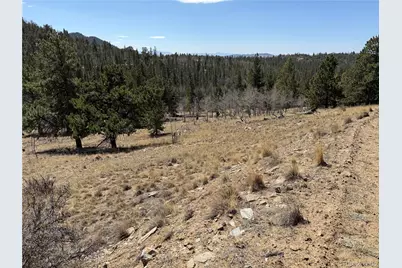 234 Warclub Court, Jefferson, CO 80456 - Photo 49