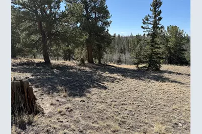 234 Warclub Court, Jefferson, CO 80456 - Photo 41